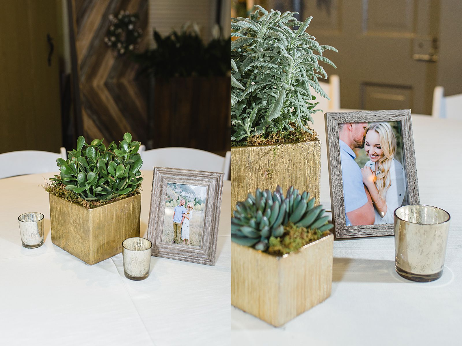Cactus and Tropicals | Utah Wedding Reception Center 